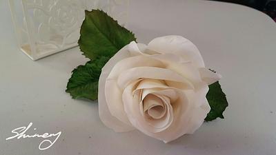 Soft White gumpaste Rose   - Cake by shimery