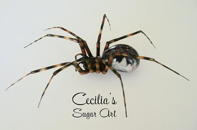 Spring Hammock Spider (Neriene montana) - Cake by Cecilia