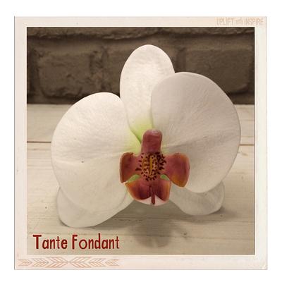 First gumpaste flower ever (moth orchid) - Cake by Tante Fondant