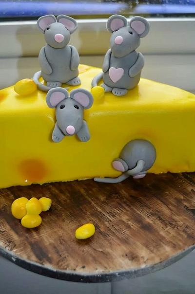 Cheese Cake!  - Cake by Shelley BlueStarBakes