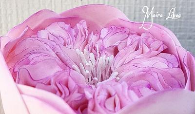 English Rose - Cake by Maira Liboa