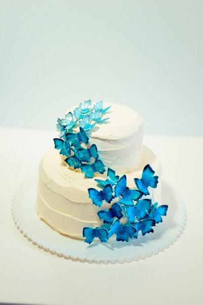 Ombre Blue Butterfly - Cake by Tami Saikaly