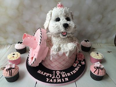 Bichon frisé sculpted dog in a hat box - Cake by Elaine - Ginger Cat Cakery 