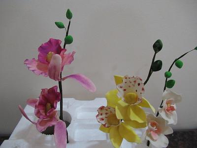 Orchids - Cake by JudeCreations