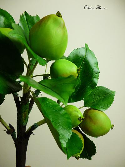 Gumpaste apples - Cake by Shenelle Robson