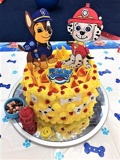 Paw Patrol - Cake by Fun Fiesta Cakes  
