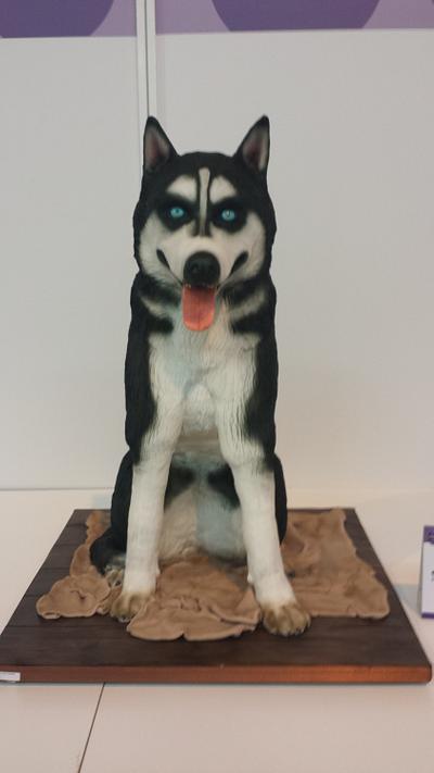 Crystal the Siberian Husky - Cake by Rose-Maries Cakes & Sugarcraft