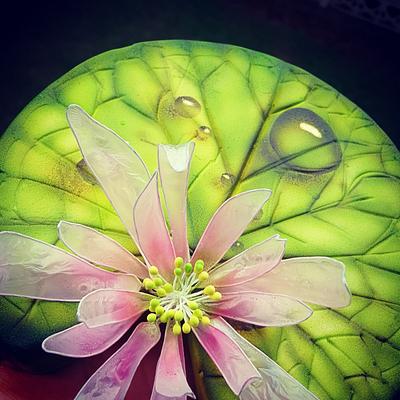 Аirbrushed gelatine lotus - Cake by Mariya's Cakes & Art - Chef Mariya Ozturk