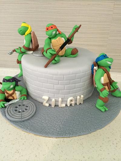 Teenage Mutant Ninja Turtle, Cake - Cake by ju123