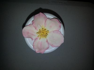 flower - Cake by Anita