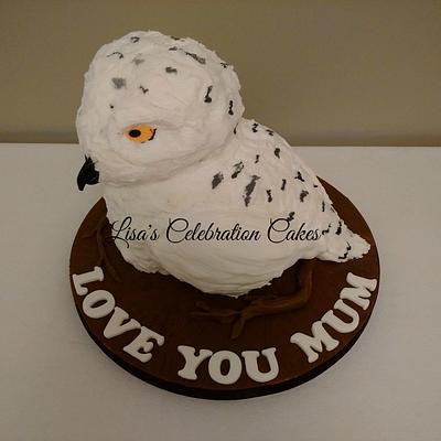 3D Owl - Cake by lisasbespokecakes
