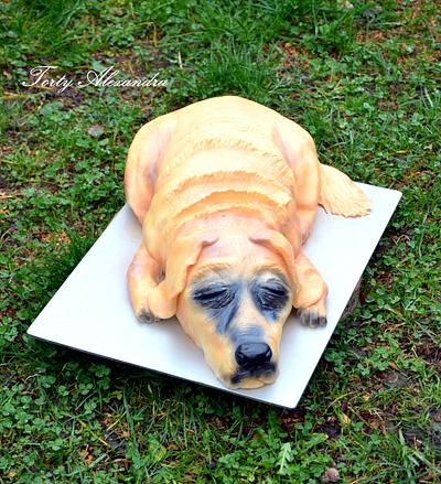 Labrador cake - Cake by Torty Alexandra
