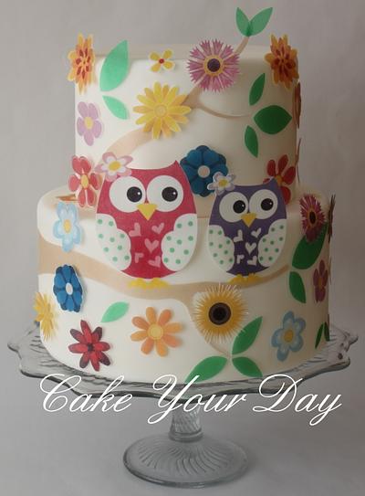 Sweet Owl Cake. - Cake by Cake Your Day (Susana van Welbergen)