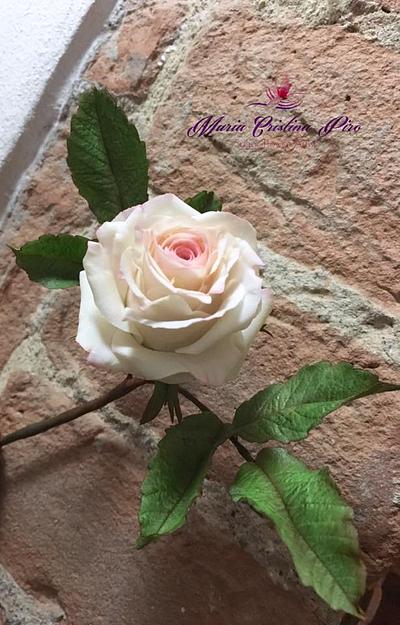 Rose...Return of spring - Cake by Piro Maria Cristina