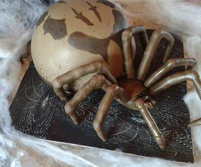 False Widow spider - Cake by Cathy Clynes