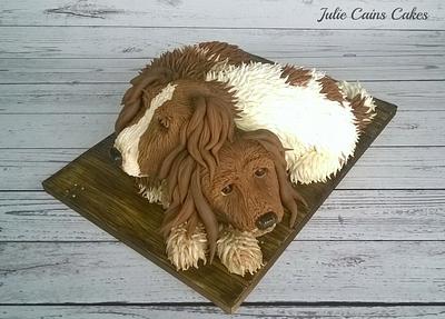 2 Spaniels - Cake by Julie Cain