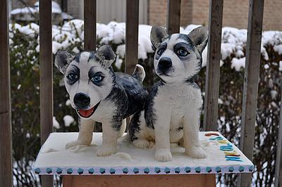 Puppies for my son - Cake by Hajnalka Mayor