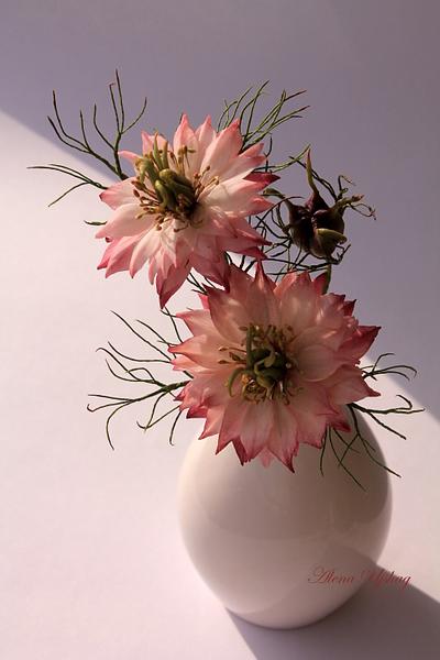 nigella flower - Cake by  Alena Ujshag