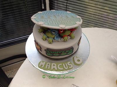 Ninja Turtles Sewer cake - Cake by Sweet Lakes Cakes