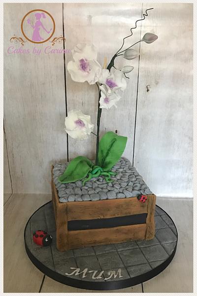 Orchid flowerpot Cake  - Cake by  Cakes by Carina