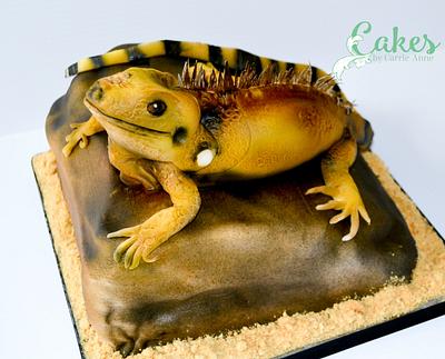 Iguana on a Rock - Cake by Carrie-Anne Dallas