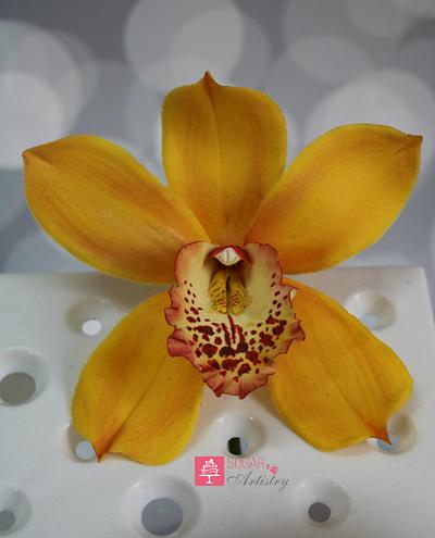 Cymbidium orchid close up - Cake by D Sugar Artistry - cake art with Shabana