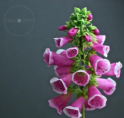 Foxglove Flower in Cold Porcelain  - Cake by Christina Wallis Flowers  & Veiners 