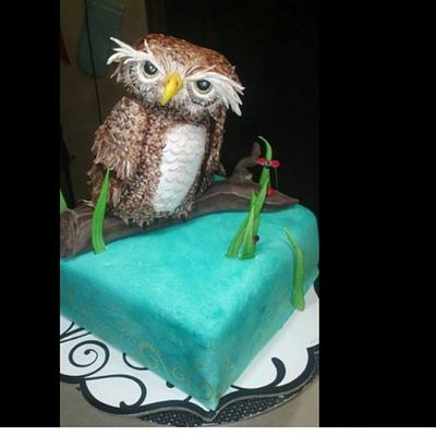 owl cake - Cake by blazenbird49