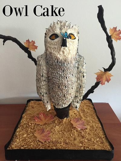Owl Cake - Cake by Bela Bakes by Isabel García 