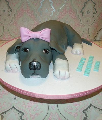 Pit bull puppy - Cake by Danielle Lechuga