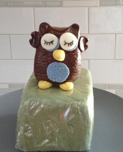 BABY SLEEPING OWL  - Cake by June ("Clarky's Cakes")