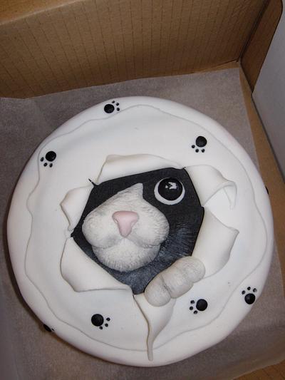 Cat - Cake by hapci03