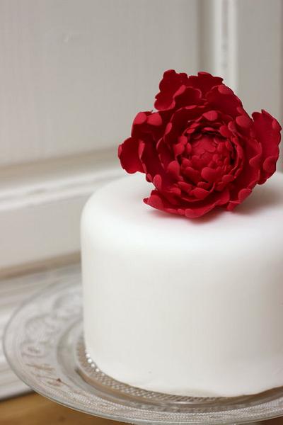 My first ever peony! - Cake by TLC