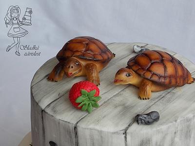 Turtles - Cake by Sladká závislost