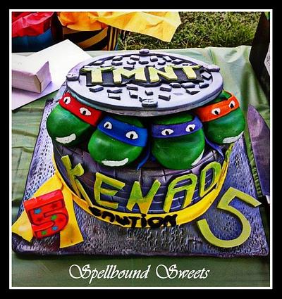 Turtle Power! - Cake by Bethanny Jo
