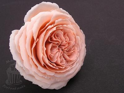 English rose - Cake by Monika