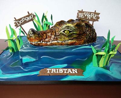 Nile crocodile cake - Cake by Michelle Chan