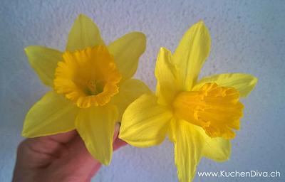Sugar Daffodils - Cake by KuchenDiva