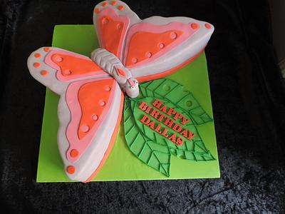 Butterfly Birthday cake - Cake by David Mason