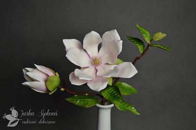 Magnolia - Cake by JarkaSipkova