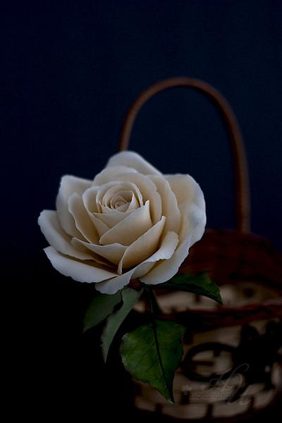 Ivory gumpaste Rose - Cake by Tina Nguyen