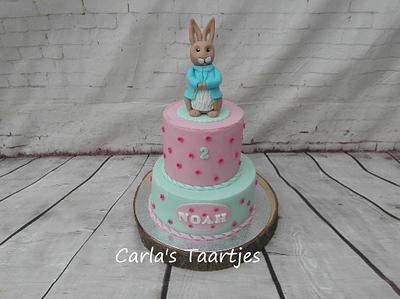 Peter Rabbit  - Cake by Carla 