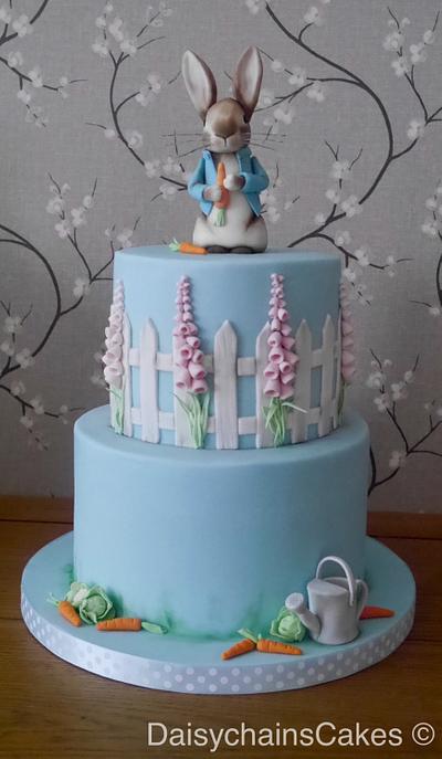 Peter Rabbit  - Cake by Daisychain's Cakes