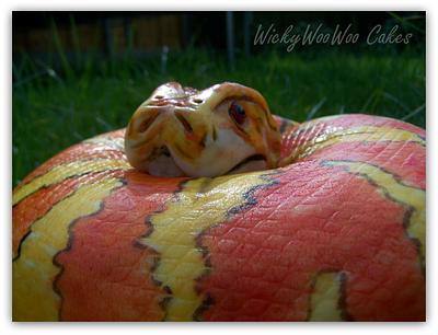 Corn Snake - Cake by WickyWooWoo Cakes