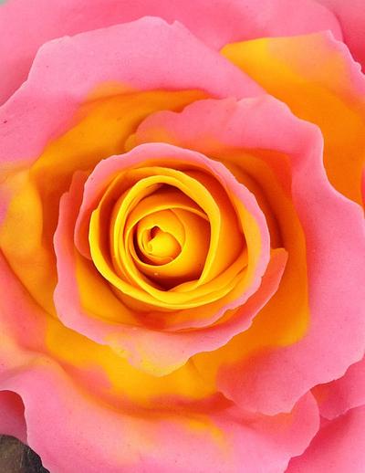 Yellow center pink edged icing Rose - Cake by Lisa Templeton
