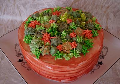 Succulent cake - Cake by Dragana