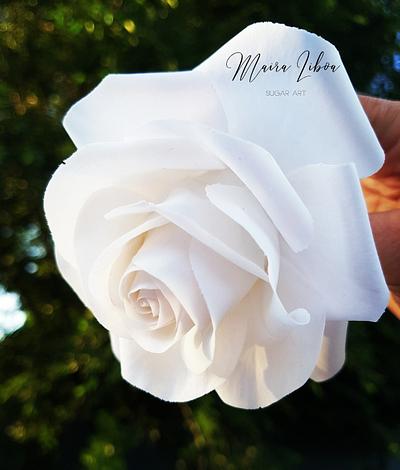 White rose - Cake by Maira Liboa
