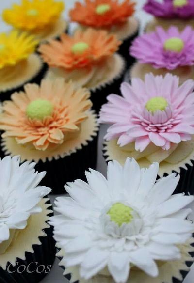 gerbera daisy cupcakes  - Cake by Lynette Brandl