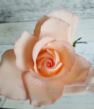 Sugar flower rose  - Cake by Asya Vencheva 