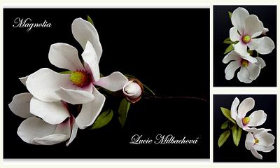 Magnolia - Flower of sugar - Cake by Lucie Milbachová (Czech rep.)